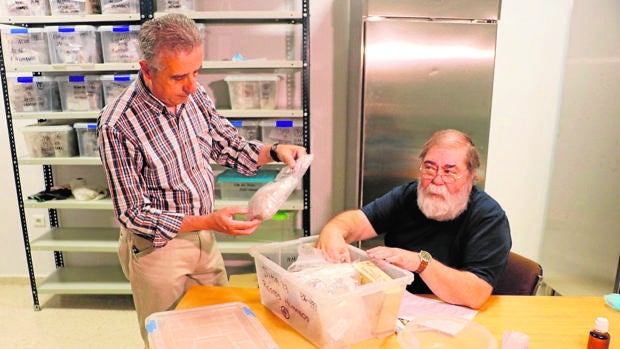 El alcalde de Lucena y el director de la excavación analizan los restos encontrados