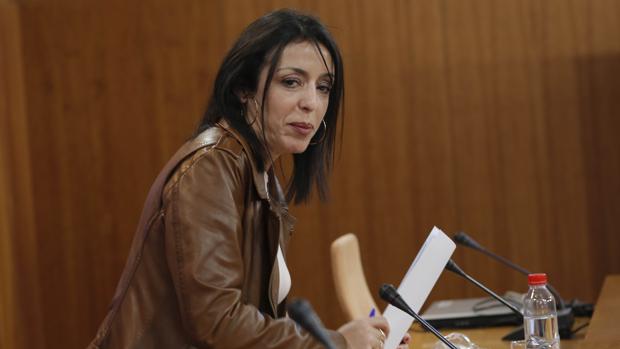 La presidenta del Parlamento andaluz, la diputada de Ciudadanos Marta Bosquet