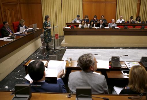 Pleno del Ayuntamiento de Córdoba