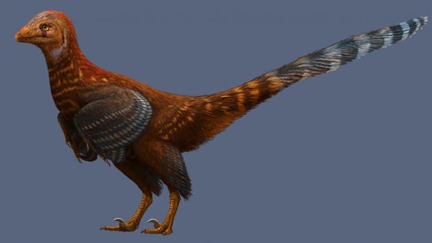 Jianianhualong tengi medía un metro de altura y tenía plumas adaptadas al vuelo