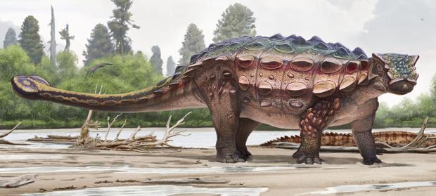 El nuevo dinosaurio acorazado
