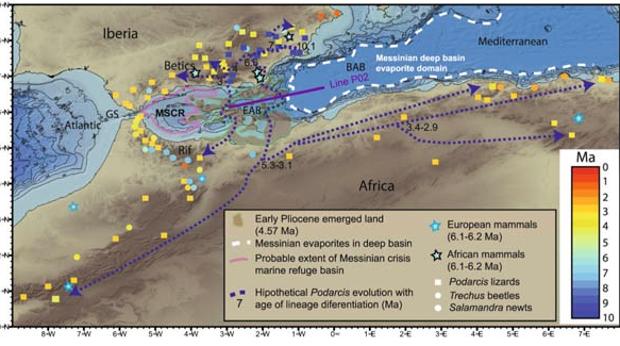 Ubicación del archipiélago sumergido que sirvió de puente terrestre para las especies