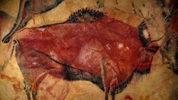 Bisonte en la cueva de Altamira, en Santillana del Mar, Cantabria, ocupada desde hace 35.600 años hasta hace 13.000