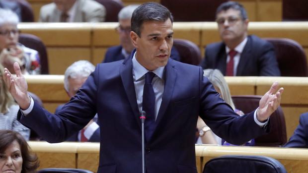 Pedro Sánchez en el Senado
