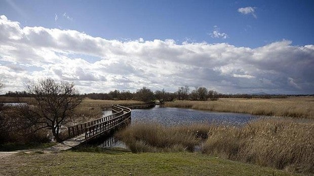 Las Tablas de Daimiel, en una imagen de archivo
