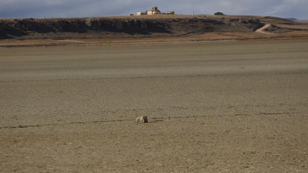 Los paisajes áridos han aumentado aceleradamente en Aragón, sobre todo en los veinte últimos años