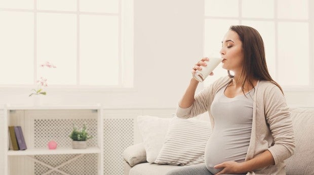Los lácteos tienen una alta densidad de nutrientes y biodisponibilidad y gozan de gran accesibilidad y consumo