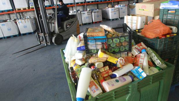 Tras haber disminuido de forma constante durante más de una década, vuelve a aumentar el hambre en el mundo, que afectó en 2016 al 11% de la población mundial