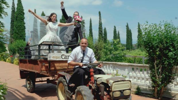 «Cuatro Weddings»