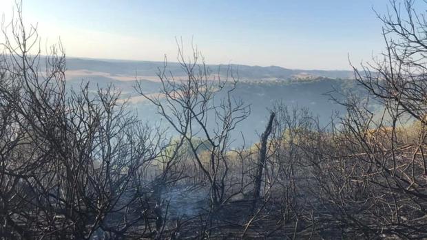 El incendio declarado en Vejer ya está controlado.