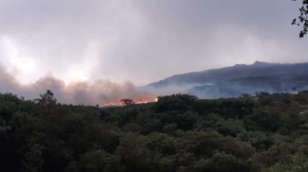 Imagen del incendio forestal en Tarifa.