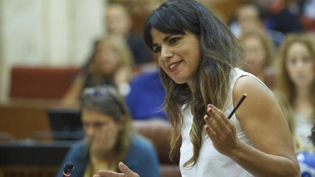 Teresa Rodríguez regresa al Parlamento tras su baja maternal.