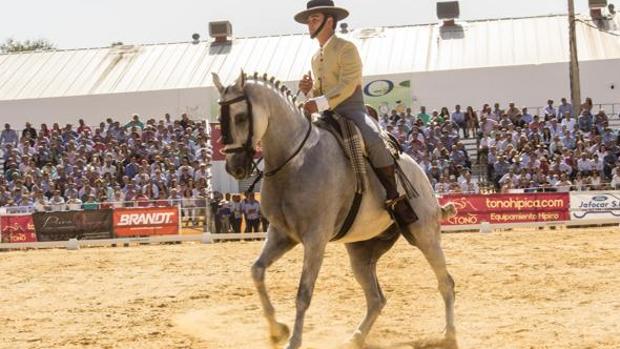 El sevillano Jonatan Peña y «Talavante», campeones de España 2017 en Doma Vaquera