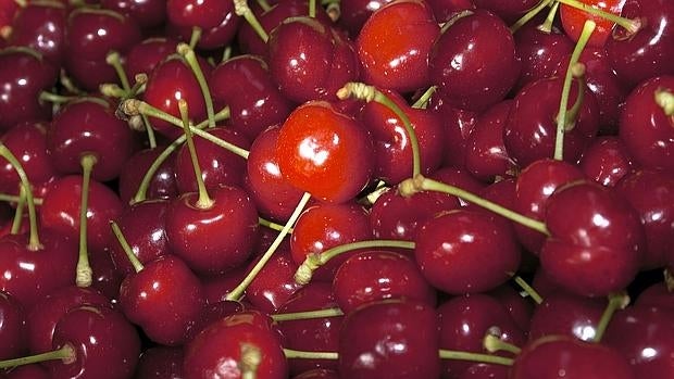 Cerezas del Valle del Jerte