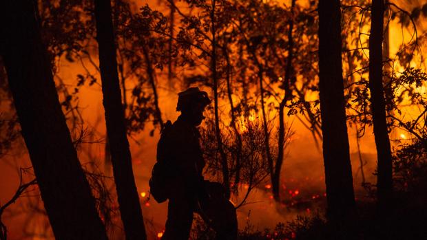 Ochocientos bomberos luchan en Portugal contra un gran incendio forestal