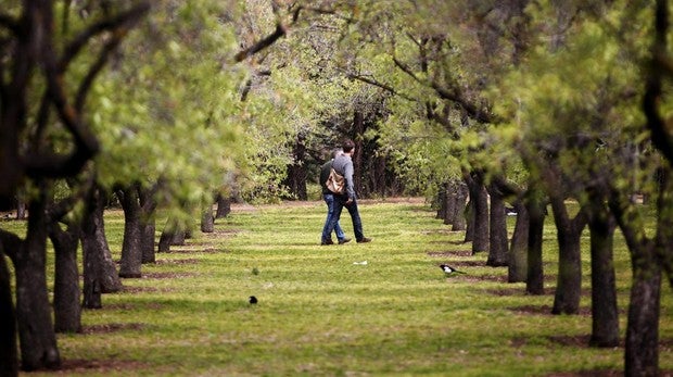 Quinta de los Molinos, en Madrid